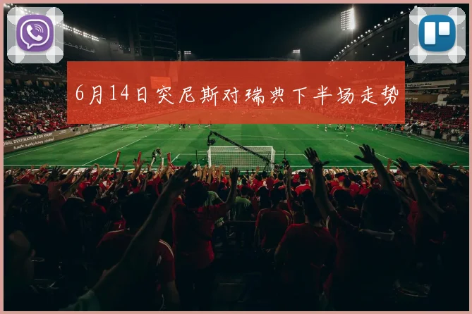 6月14日突尼斯对瑞典下半场走势