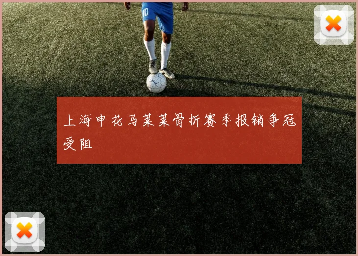 上海申花马莱莱骨折赛季报销争冠受阻