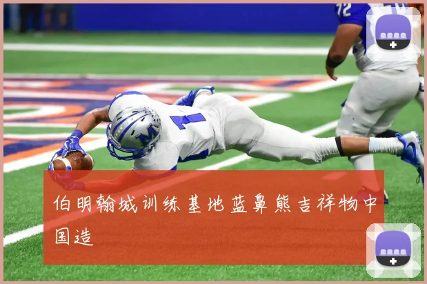 伯明翰城训练基地蓝鼻熊吉祥物中国造