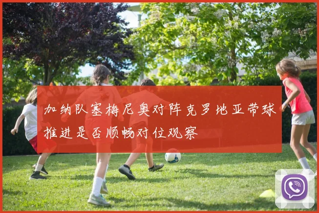 加纳队塞梅尼奥对阵克罗地亚带球推进是否顺畅对位观察